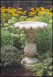 Birdbath for Birds